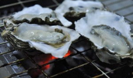 生蚝的做法视频