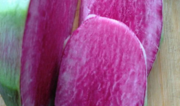 罗卜视频,揭秘生活百态，畅享视觉盛宴